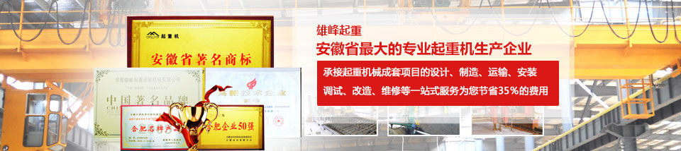 安徽省起重机厂家哪家好