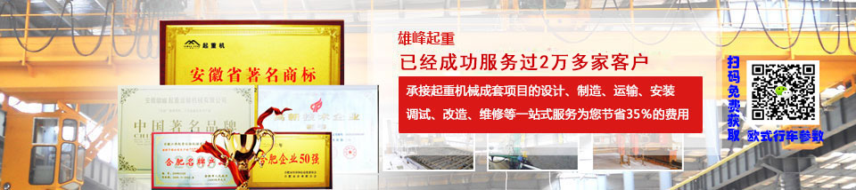 雄峰起重安徽省最大的专业起重机生产企业