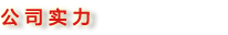 雄峰起重-公司实力